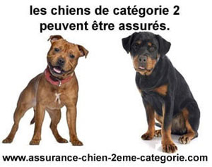 Assurance pour chien catégorie 2 responsabilité civile
