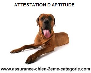 attestation-aptitude-pour-chiens-categorises