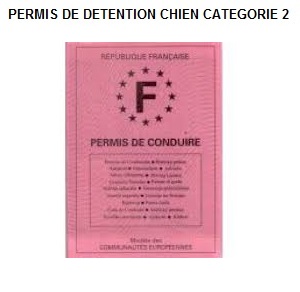 permis-de-detention-chien-categorie2